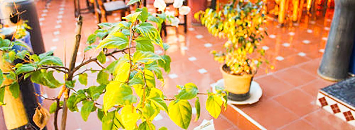 Jad Auberge Ourika Exterior photo